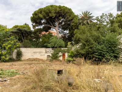 ...che usufruiva anche del terreno sottostante alla dimora dove c�era un grande agrumeto e un roseto...